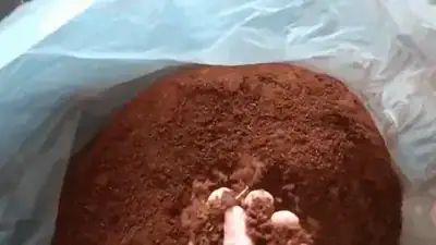 Pó de coco para substrato, saco 100 L